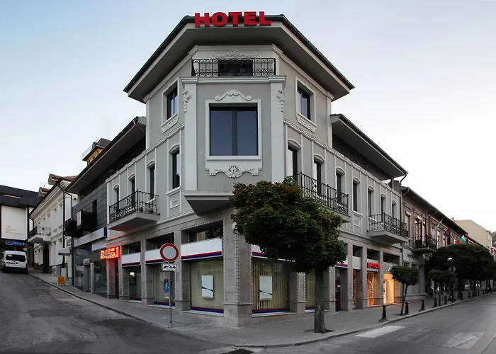 Hotel Executive And Play